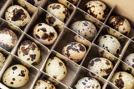 quail eggs