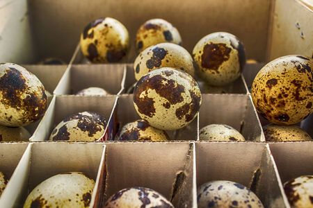 quail eggs, HDR
