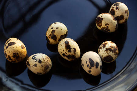 quail eggsの写真素材