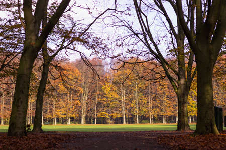 Parkの写真素材