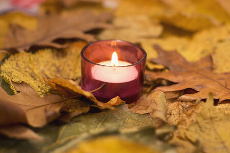 Romance candle light  in Autumn tree  leavesの写真素材