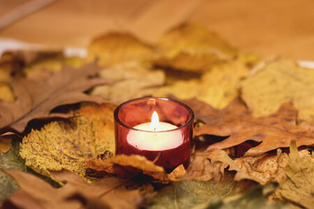 Romance candle light  in Autumn tree  leavesの写真素材