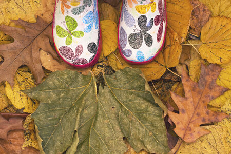 standing in dry autumn leavesの写真素材