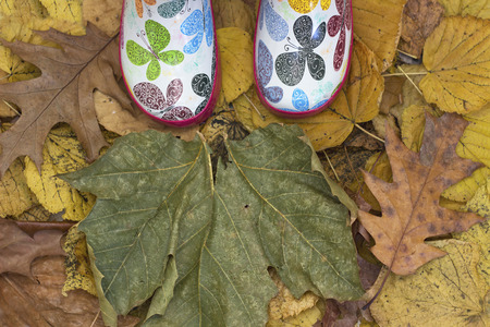 standing in dry autumn leavesの写真素材