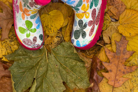 standing in dry autumn leavesの写真素材