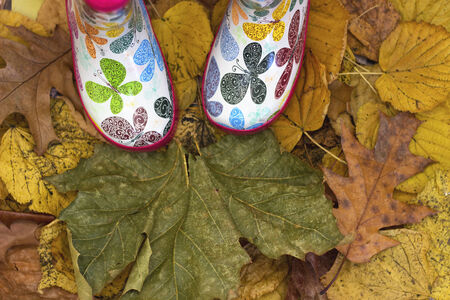 standing in dry autumn leavesの写真素材