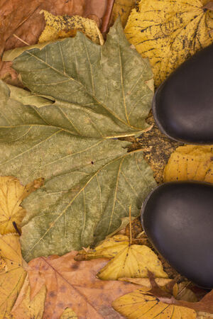 standing in dry autumn leavesの写真素材