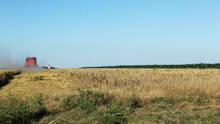 Harvestの写真素材