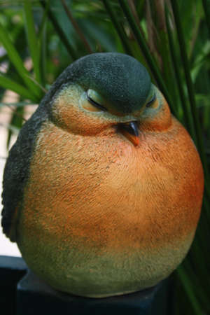Brid