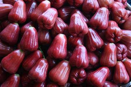 Rose apple