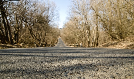 Road in the forest closeupの写真素材