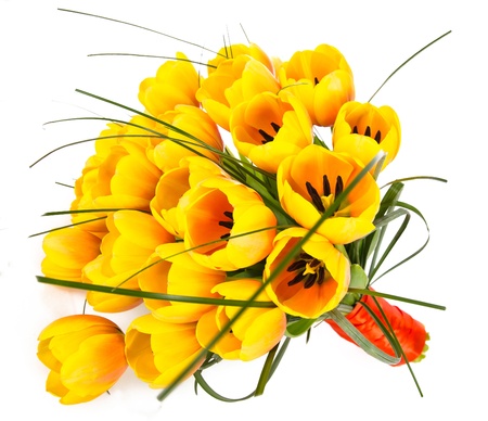 Yellow tulip bouquet isolated on whiteの写真素材