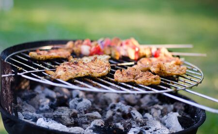 Chicken on grill in the natureの写真素材