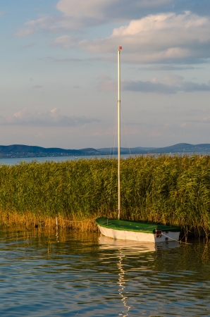 Sailboat in the sunset with reedの写真素材