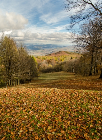Autumn landscape with cloudy skyの写真素材