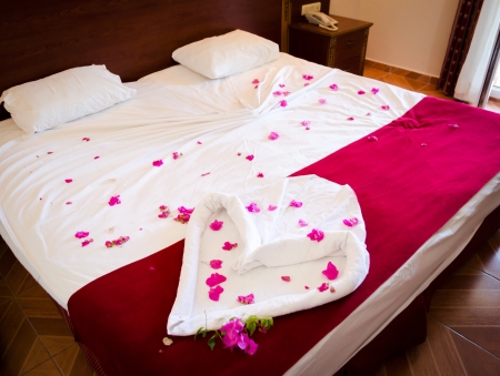 Double Bed of Red Rosesの写真素材