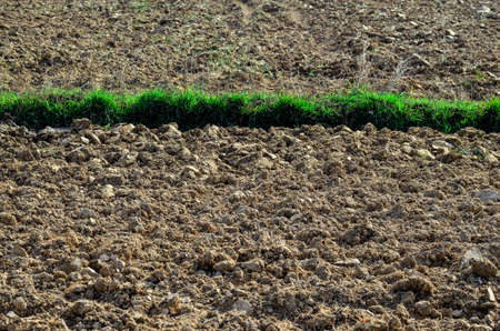 Dry land of paddy field in Thailandの写真素材