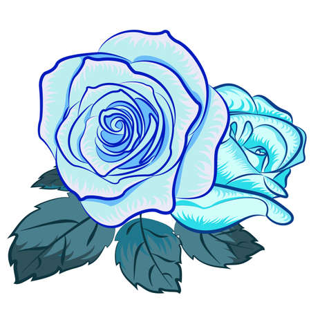 Vector illustration of rose flower  Clip art のイラスト素材