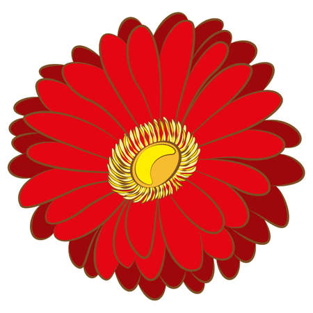 illustration of camomile flower. Clip art.のイラスト素材