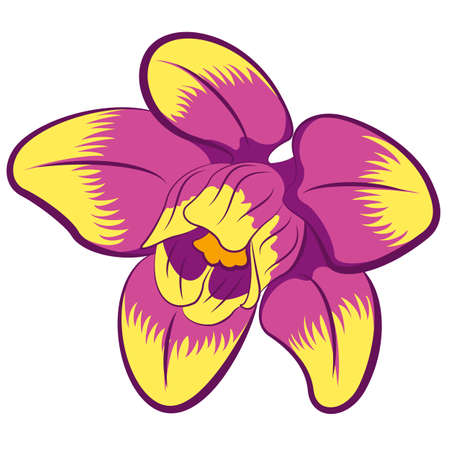 illustration of flower. Clip art.のイラスト素材