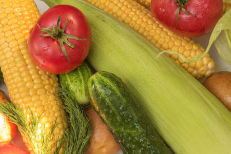 Tomato, cucumber, potato, corn and dill. Ripe vegetables. Backgroundの写真素材