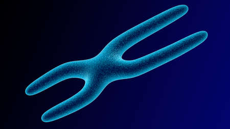 X chromosome . 3D renderの写真素材