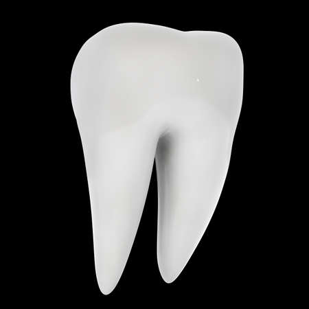 Human tooth 3D render isolatedの写真素材