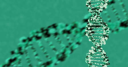 DNA molecule structure. 3D renderの写真素材