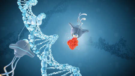 Medical nanobots repair a damaged section of DNA. The concept of the future. Genetic engineering and...