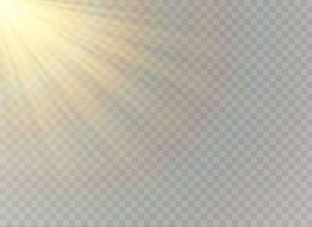 Transparent vector sunlight special lens flare light effect. Christmas abstract pattern. Sparkling magic dust particles.のイラスト素材