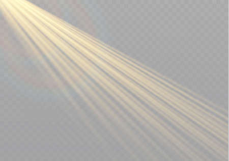 Transparent vector sunlight special lens flare light effect. Christmas abstract pattern. Sparkling magic dust particles.のイラスト素材