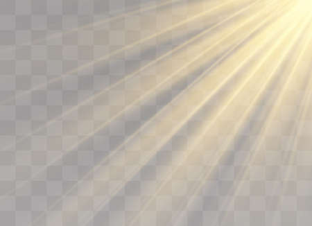 Light flare special effect with rays of light and magic sparkles. Glow transparent vector light effect set, explosion, glitter, spark, sun flash, burst.のイラスト素材