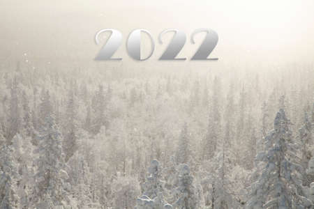 The pine forest is covered with fluffy snow. Meet 2022の写真素材