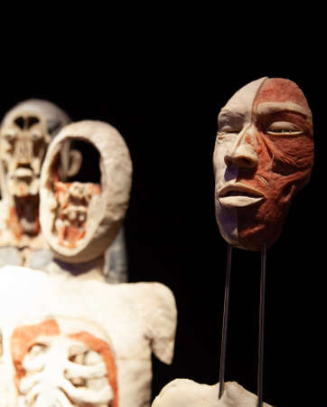 Body World is a museum that exhibits plastinated bodies.のeditorial素材