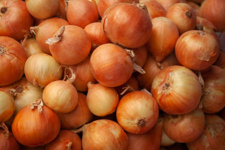 Appetizing onion flaunts on the counter of a grocery storeの写真素材
