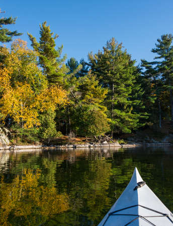 Kayaking in a calm bay in autumn with vibrant trees and reflection on the waterの写真素材