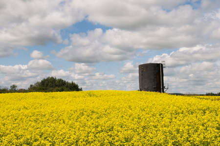 A common site on Canola fields close to the Alberta - Saskatchewan borderの写真素材