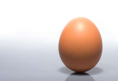 Single egg isolated on right with copy spaceの写真素材