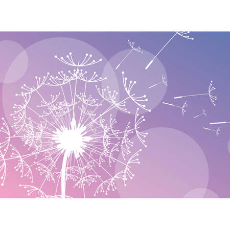 dandelionのイラスト素材