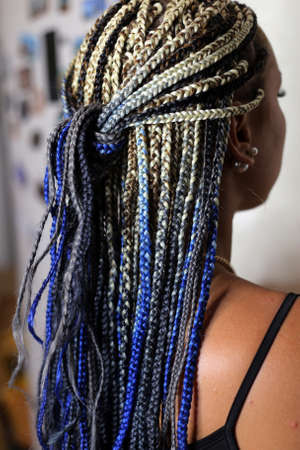 many thin plaits on the head of an African-style girl, pigtailsの写真素材