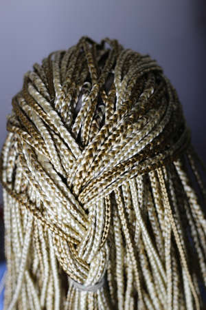 many african thin braids braided on the head of a blond girl, on
