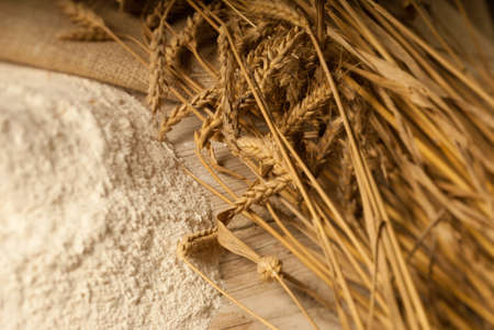 Pure wheat laying next to milled flourの写真素材