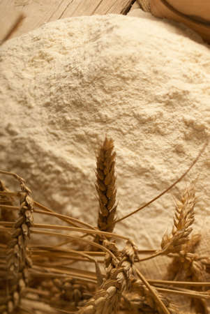 Wheat flour with the original wheat on a tableの写真素材