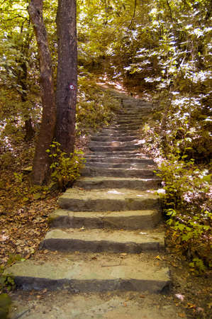 Stone stairs in a green nature environmentの写真素材