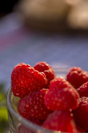 red raspberry in the afternoon sun