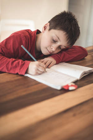 Boy doing homework at homeの写真素材