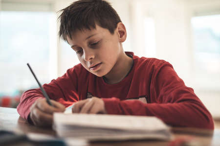 Boy doing homework at homeの写真素材
