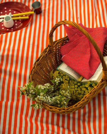 Picnic basket for family in the mountainsの写真素材