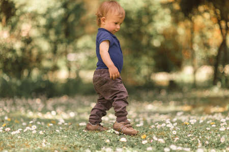 small boy walking in the green grassの写真素材