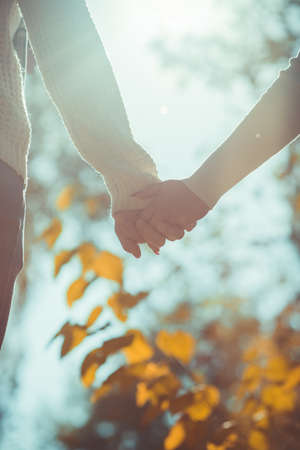 Romantic young couple is outdoors and holding hands near the nature and the treesの写真素材